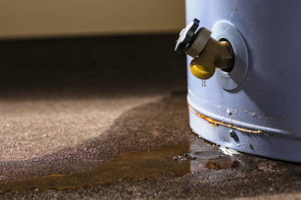 Best Residential water damage restoration  in Parkston, SD