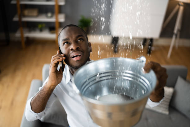 Best Water damage contractors near me  in Parkston, SD